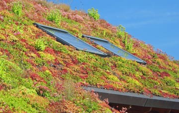 Erbusaig living roof systems